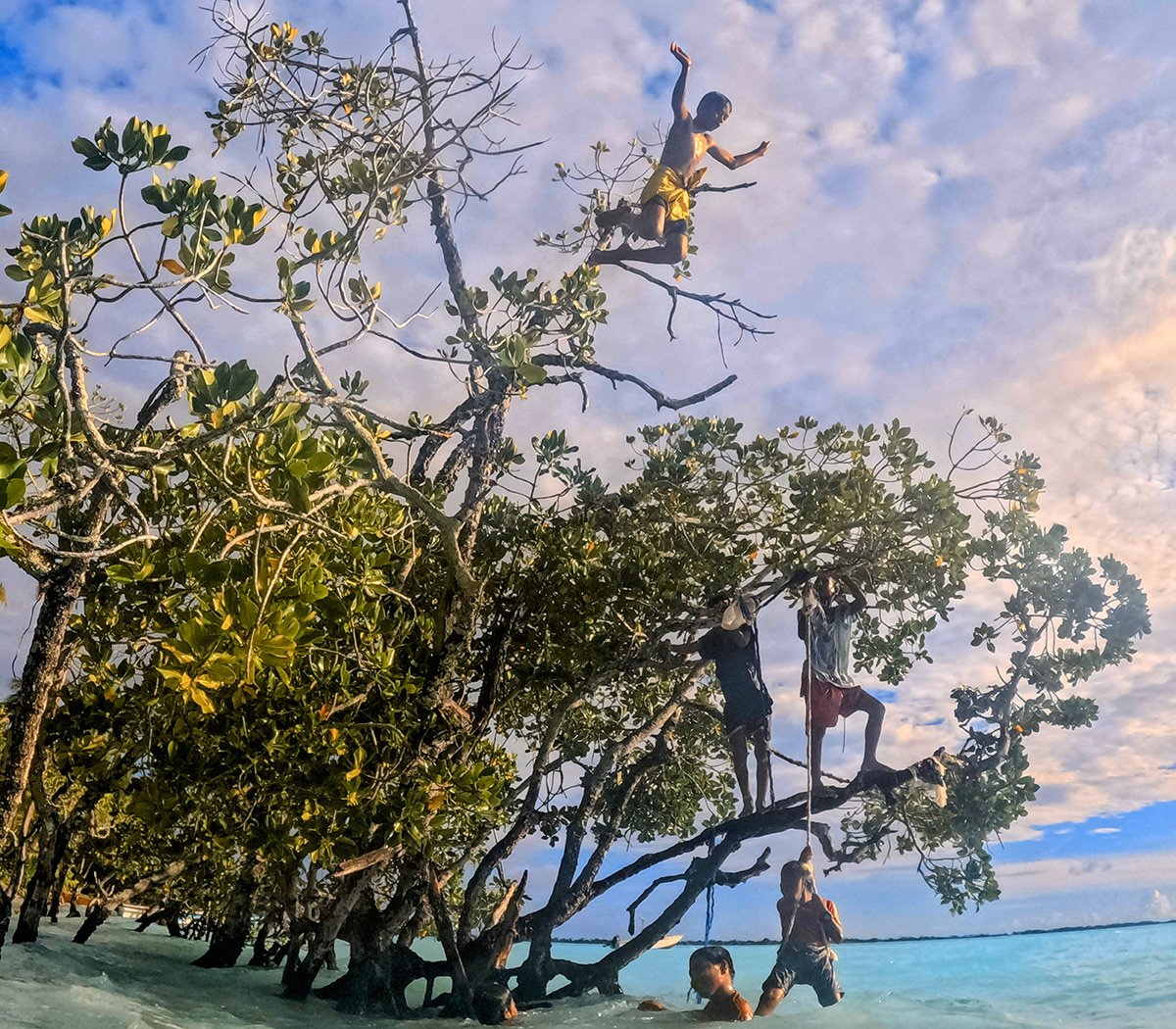 Brasileira vence competição da ONU de fotos da vida marinha